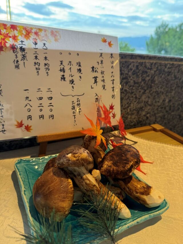 .

こんばんは♪

いつもホテル紅やのSNSをご覧いただき
ありがとうございます😌
 
「食欲の秋」第二弾は『松茸』のご紹介です🍄🍂
 
期間限定で、レイクビューレストラン陽乃彩にて
松茸料理（別注料理）をご用意いたしました。

季節ならではの贅沢な味覚を、ぜひご堪能ください🥰

#秋
#食欲の秋
#松茸
#諏訪湖
#ホテル紅や
#稀石の癒
#諏訪湖花火　
#信州  #長野
#hotelbeniya  
#suwako 
#kamisuwaonsen
#kisekinoyu  
#suwakohanabi  
#shinsyu