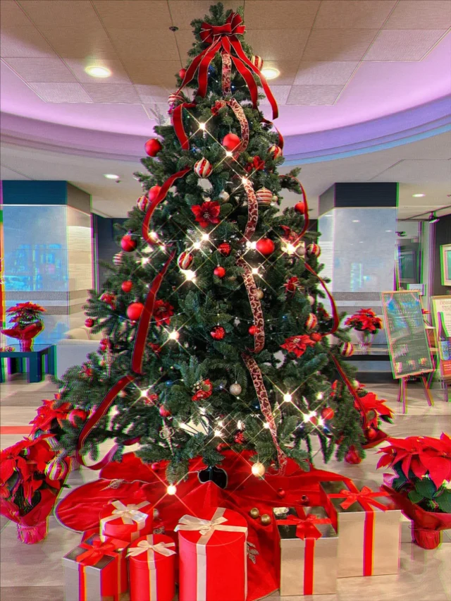 .

こんばんは☺️
いつもホテル紅やのSNSをご覧いただき
ありがとうございます😌

ホリデーシーズン🎄
皆様はどのように過ごされますか☺️✨？

今年はロビーに3mの巨大クリスマスツリーが
登場しました🌲🧡🎅
是非記念写真にご利用いただければ嬉しいです🥰

その他にも館内沢山のツリーを飾ってありますので
数えてみてください🤗

#クリスマス
#冬　⛄️
#ホテルクリスマス
#諏訪湖
#ホテル紅や
#稀石の癒
#諏訪湖花火　
#信州  #長野
#hotelbeniya  
#suwako 
#kamisuwaonsen
#kisekinoyu  
#suwakohanabi  
#shinsyu