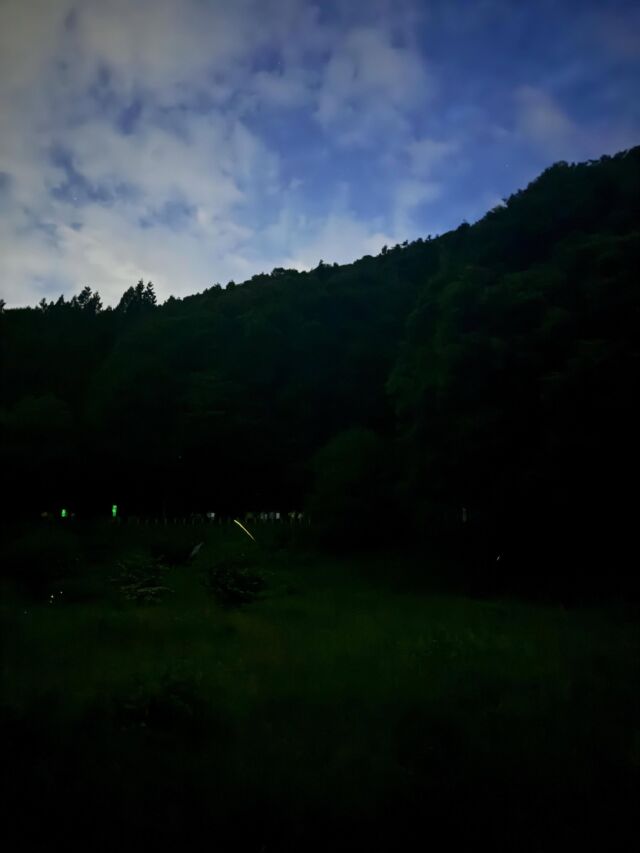.

いつもホテル紅やのSNSをご覧いただき
ありがとうございます☺️

信州辰野ほたる祭りのご案内です♪
19:30すぎから蛍がきらきらと✨
20時にはたくさんの蛍が飛び交っていました💡
この日はちょうど良い気温でしたが半袖だと肌寒いので羽織ものはお待ちください👕

たくさんの屋台で満喫してからほたる童謡公園へ移動するのがおすすめです☺️
屋台からほたる童謡公園までは徒歩20分ほどです🚶
小さなお子様連れはベビーカー必須です！
(ほたる童謡公園内は砂利道なので動かしづらいかもしれません💦)

当館からお車で約30分🚗
残りわずかですが前売り券もフロントにて販売しております🎫
この時期にしか見られない景色、是非お楽しみください✨

#ホテル紅や　#ほたる祭り　#ほたる童謡公園
#辰野町