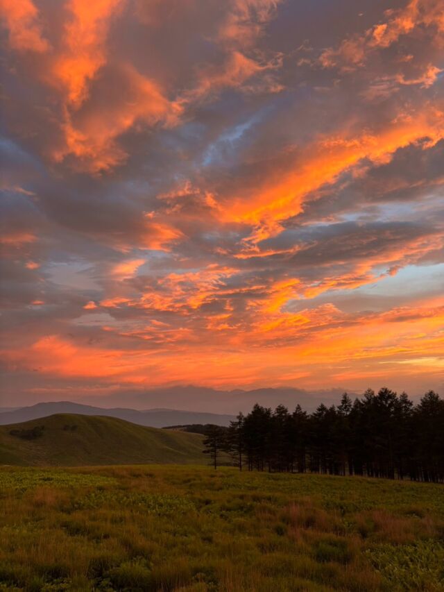 .

いつもホテル紅やのSNSをご覧いただき
ありがとうございます😊

霧ヶ峰の夕焼け🌆
幻想的な景色が広がっていました😌

日中の緑一面に広がる景色も良いですが
夕焼けに染まる高原も素敵です。

当館からお車で約30分🚗
標高が高いので夕方は涼めます🌻

夏のお出かけに是非✨

#ホテル紅や　#霧ヶ峰
#ニッコウキスゲ　#夕焼け